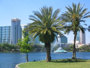 Reasons to Visit Orlando